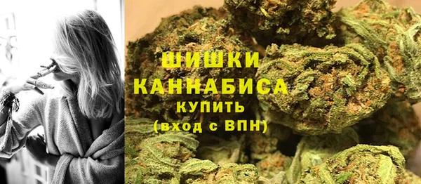 дмт Белокуриха