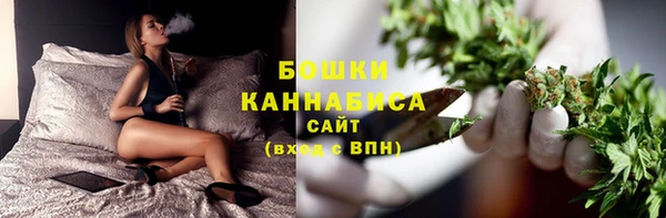 стаф Беломорск