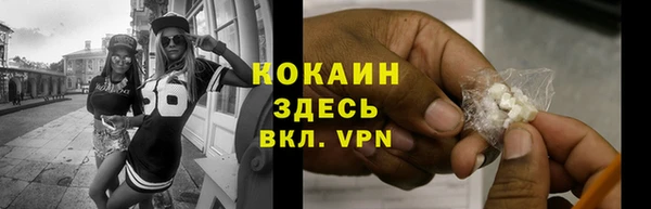 дмт Белокуриха