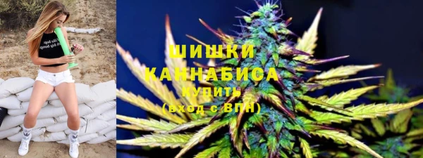 дмт Белокуриха