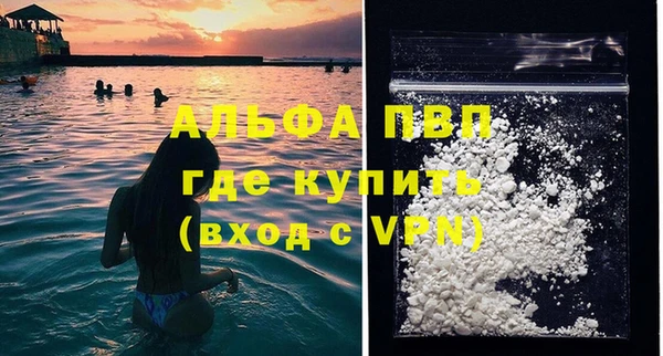 дмт Белокуриха